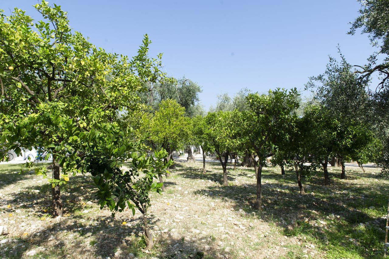 Tenuta Santa Maria Mattinata Extérieur photo